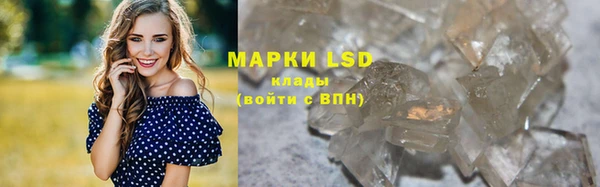 молекула духа Дмитров