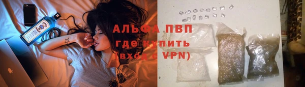 сатива Дмитриев
