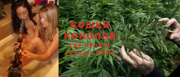 молекула духа Дмитров