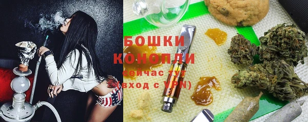 тгк Дмитровск