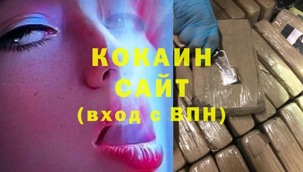 сатива Дмитриев