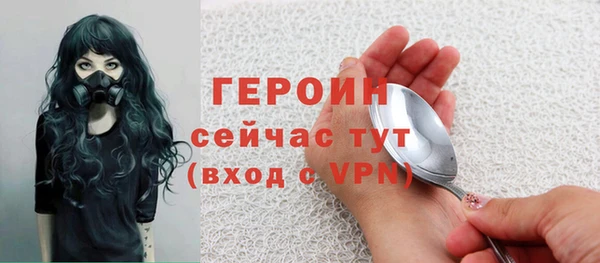 сатива Дмитриев